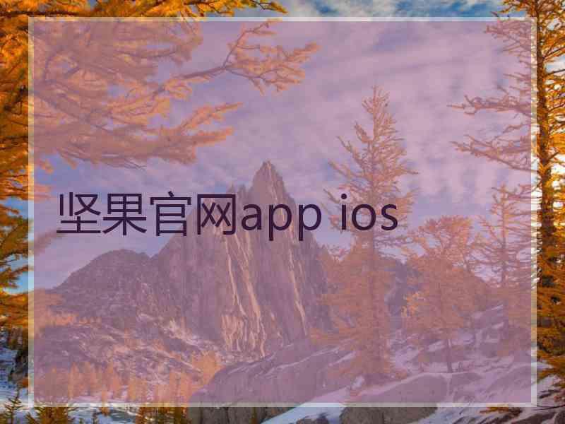 坚果官网app ios