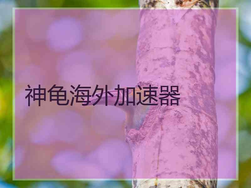 神龟海外加速器