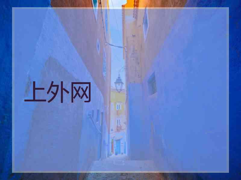 上外网