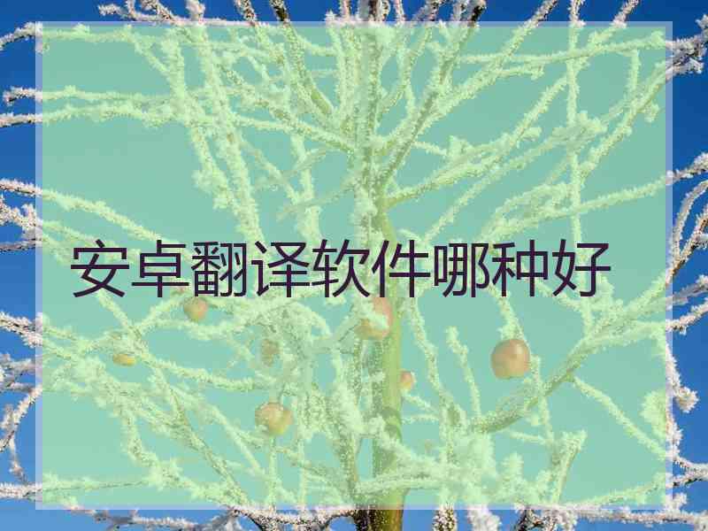 安卓翻译软件哪种好