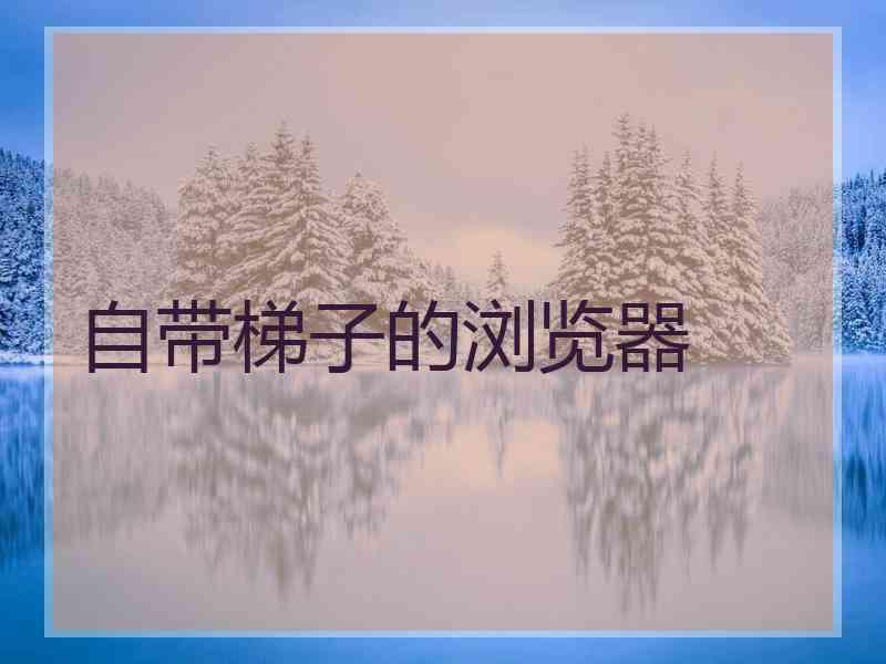 自带梯子的浏览器