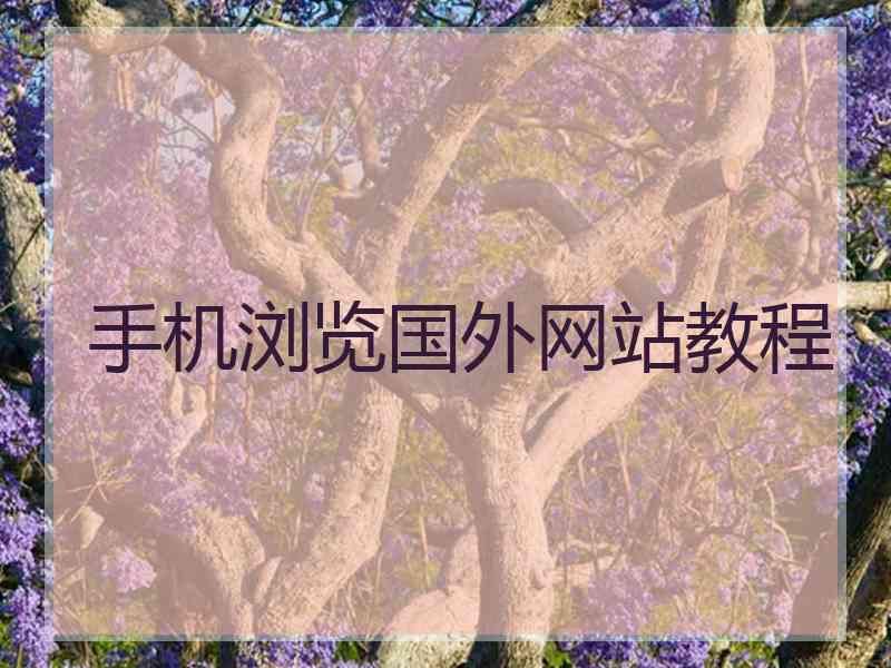 手机浏览国外网站教程