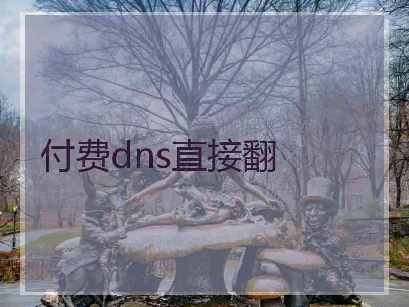 付费dns直接翻