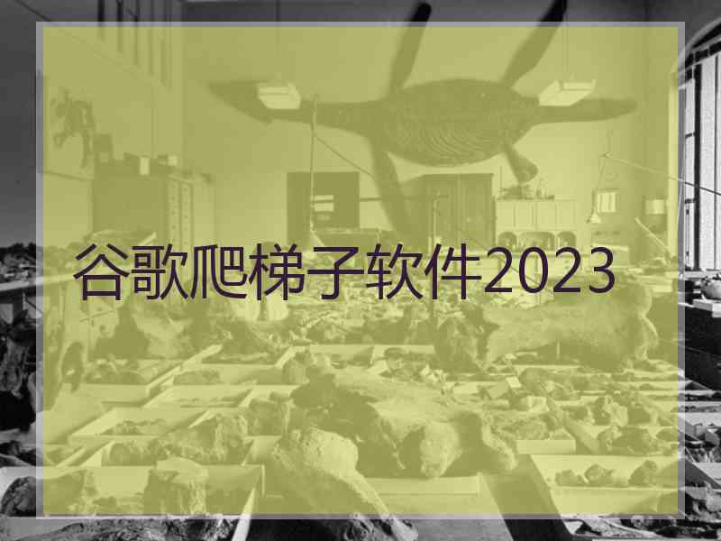 谷歌爬梯子软件2023