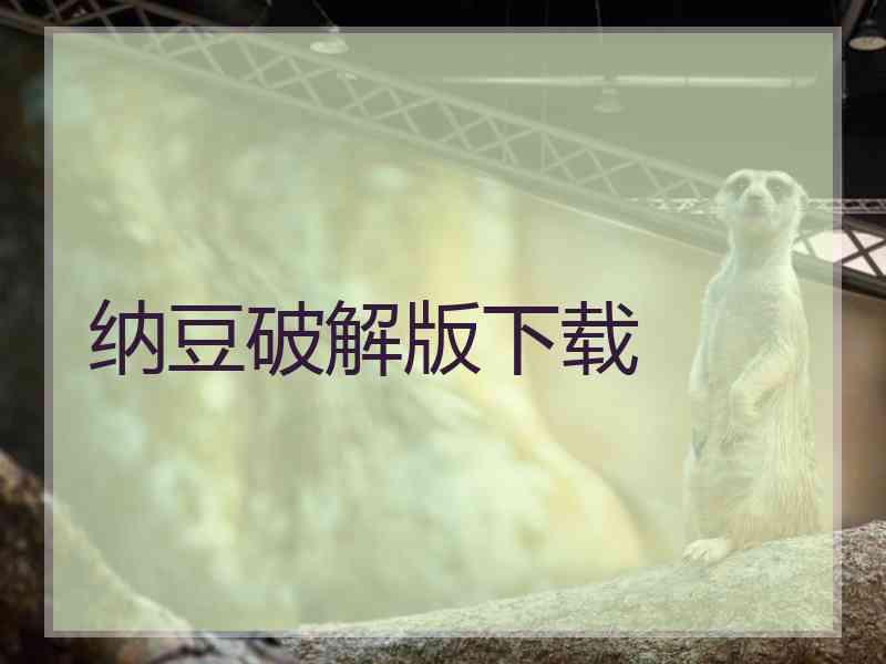 纳豆破解版下载
