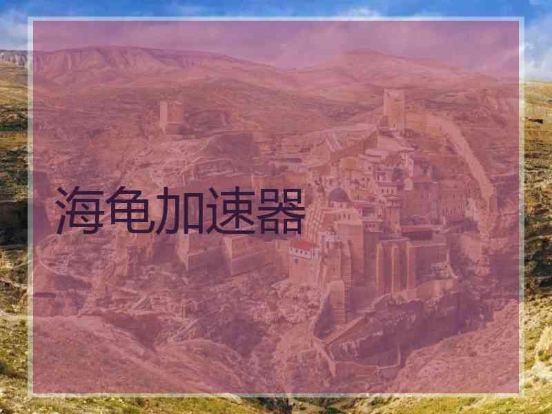 海龟加速器