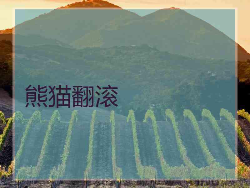 熊猫翻滚