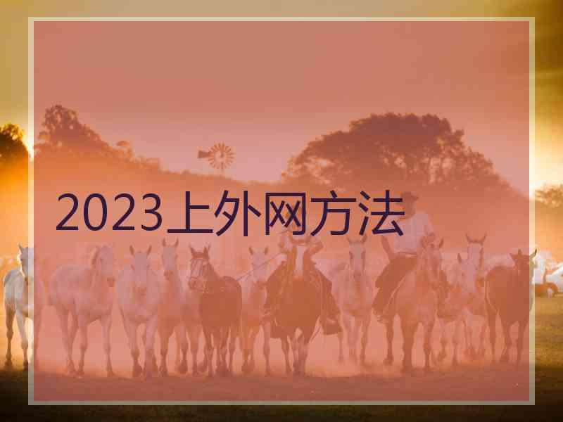 2023上外网方法