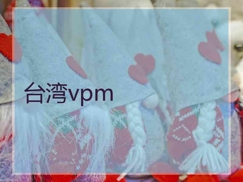 台湾vpm