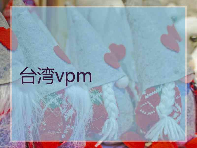 台湾vpm