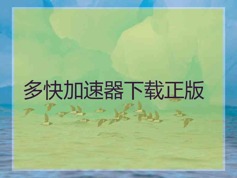 多快加速器下载正版
