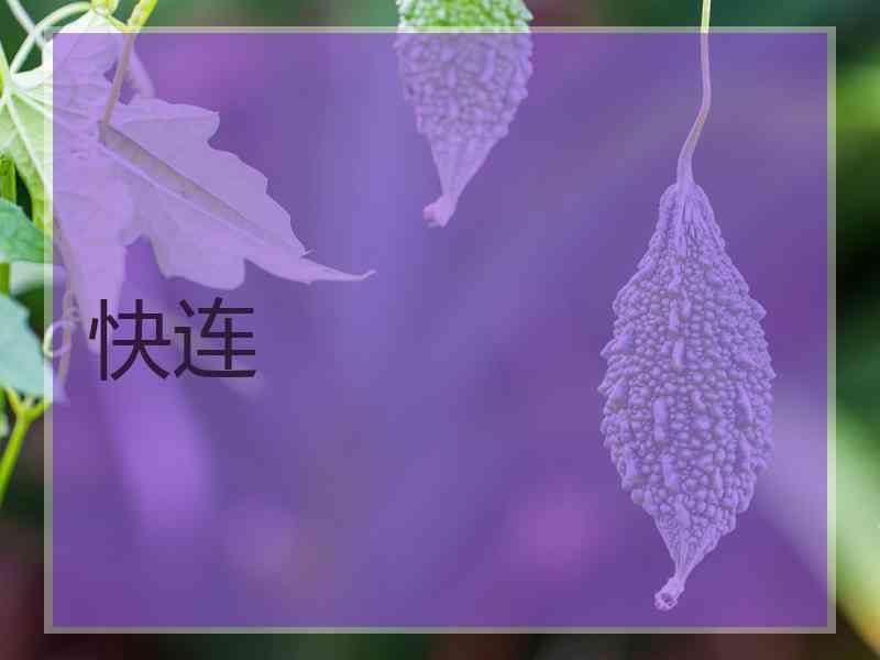 快连