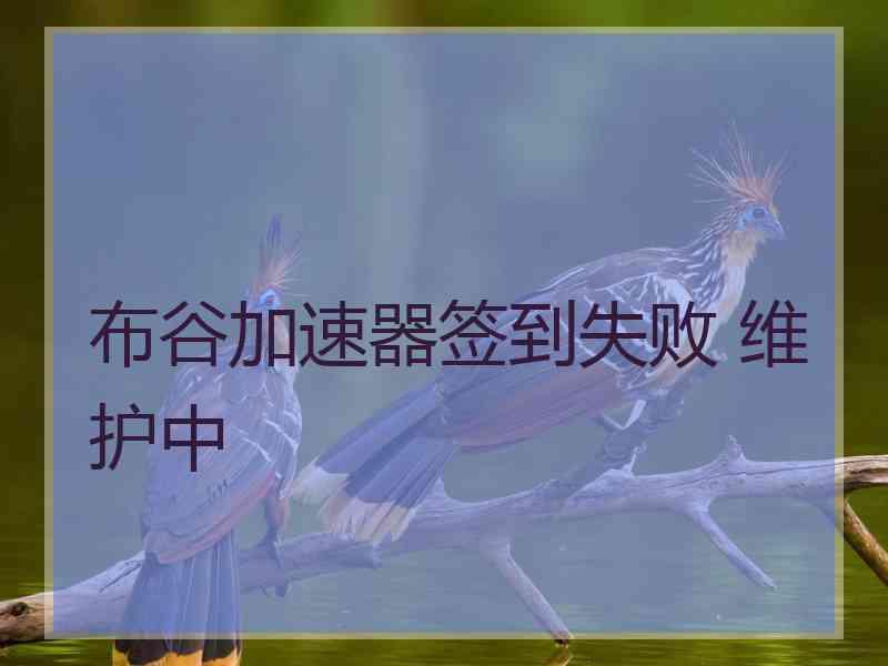 布谷加速器签到失败 维护中