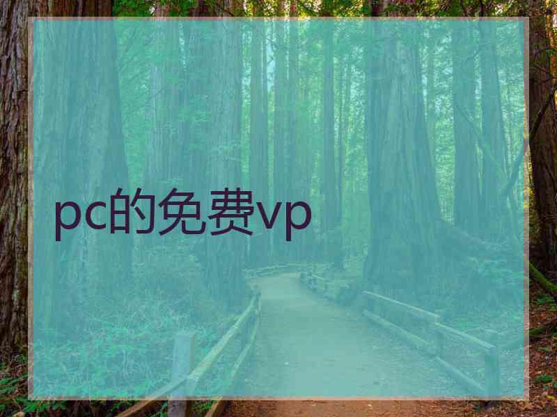 pc的免费vp