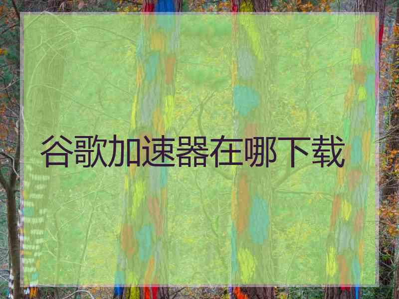 谷歌加速器在哪下载