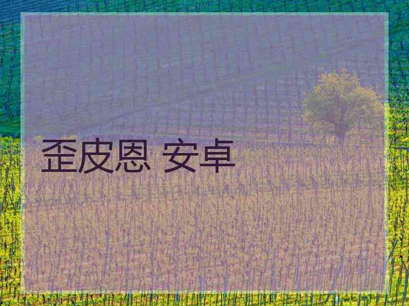 歪皮恩 安卓