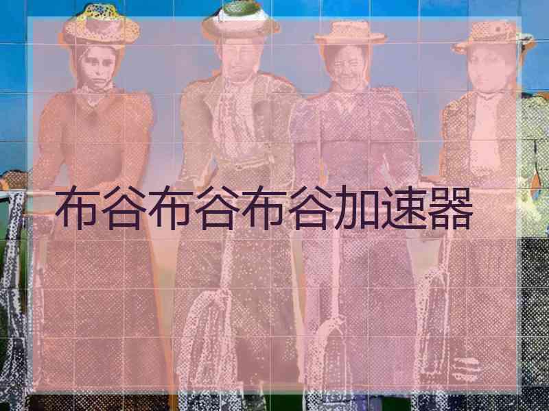 布谷布谷布谷加速器