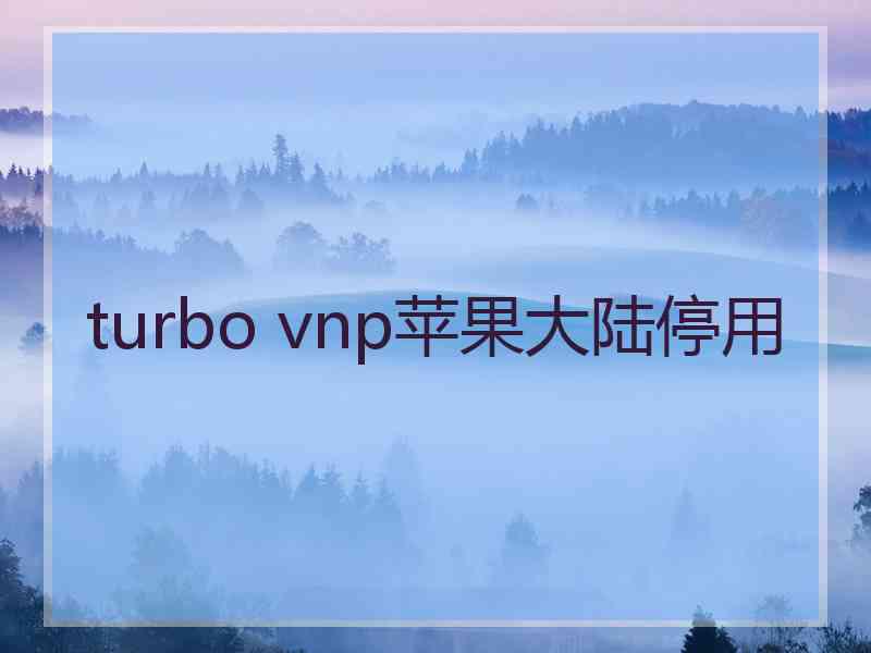 turbo vnp苹果大陆停用