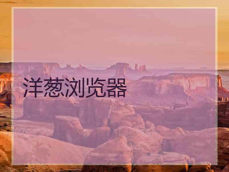 洋葱浏览器