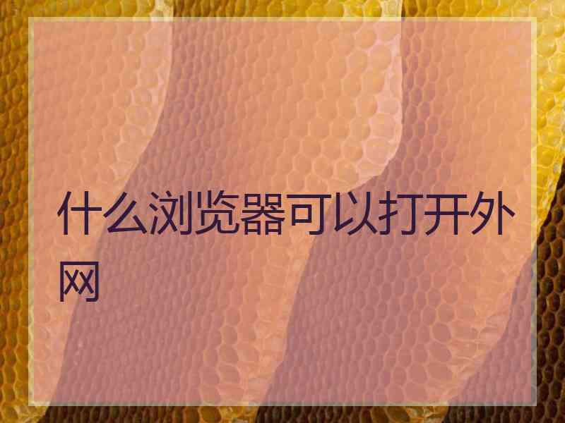 什么浏览器可以打开外网
