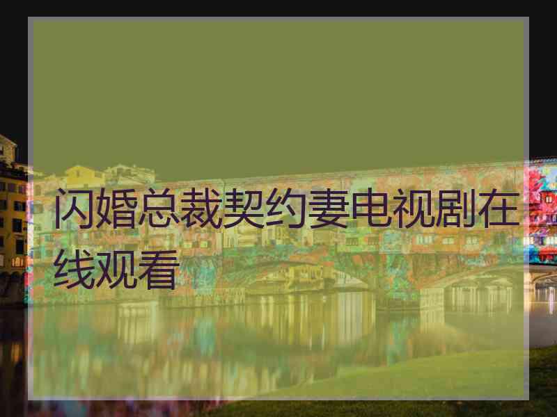闪婚总裁契约妻电视剧在线观看