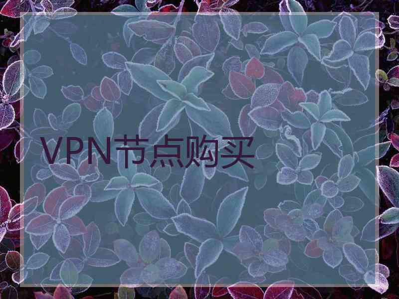 VPN节点购买