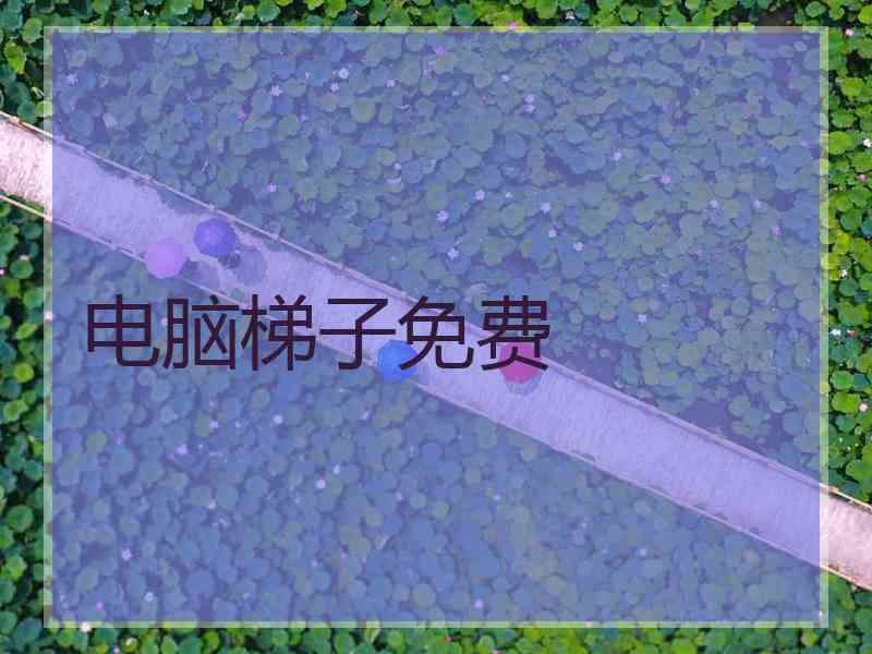 电脑梯子免费