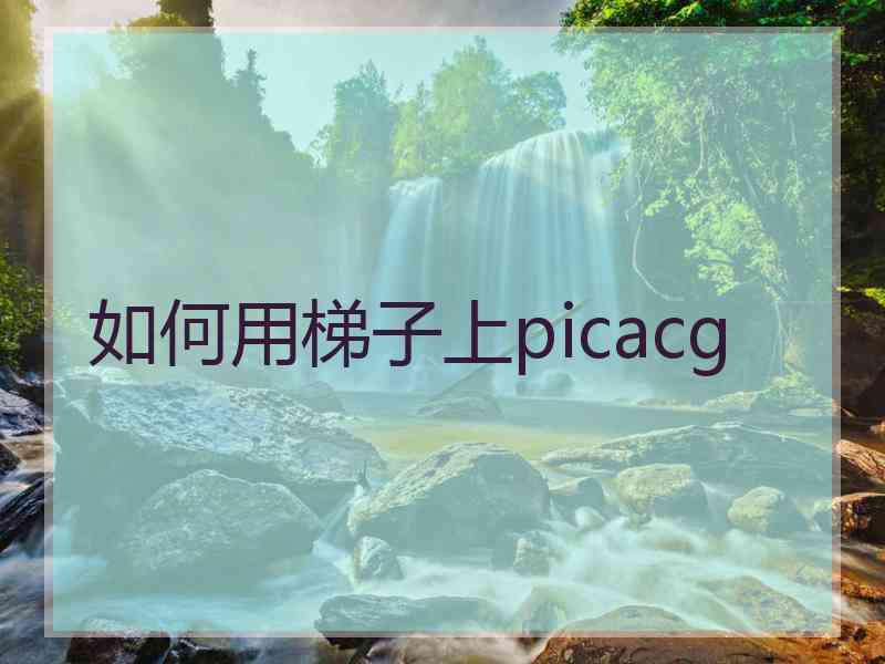 如何用梯子上picacg