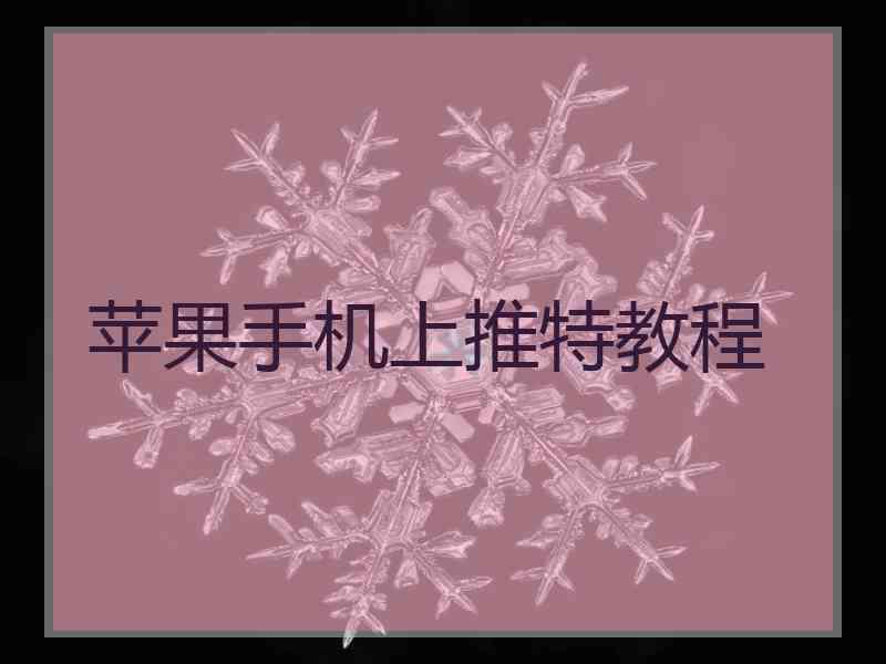 苹果手机上推特教程