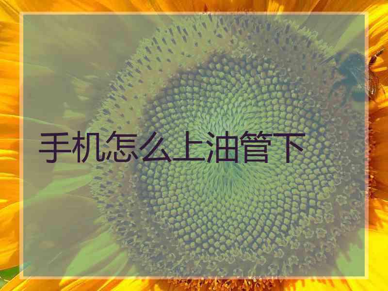 手机怎么上油管下