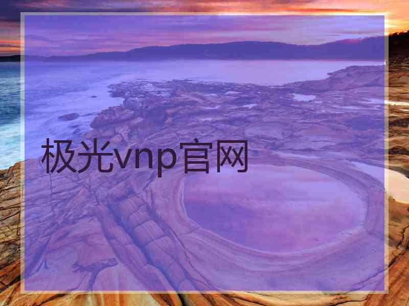 极光vnp官网