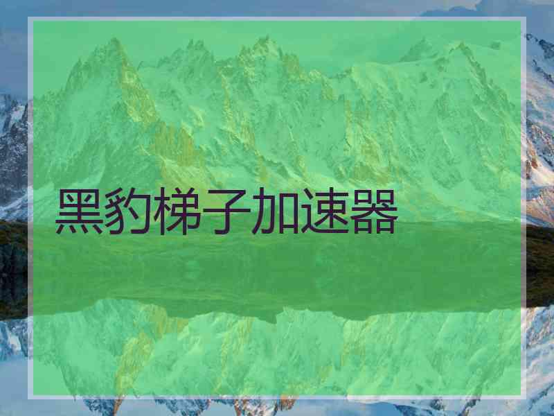 黑豹梯子加速器