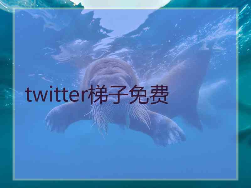 twitter梯子免费