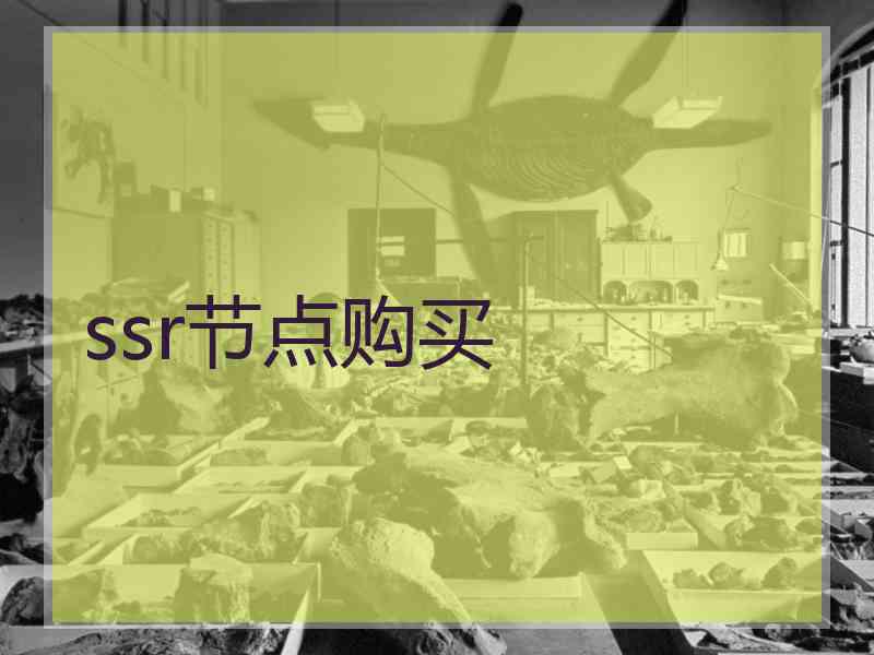 ssr节点购买