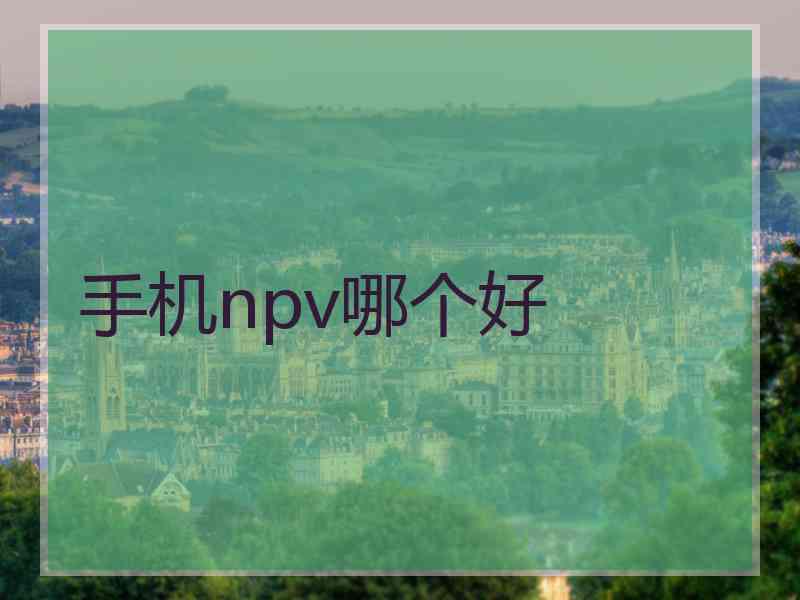 手机npv哪个好