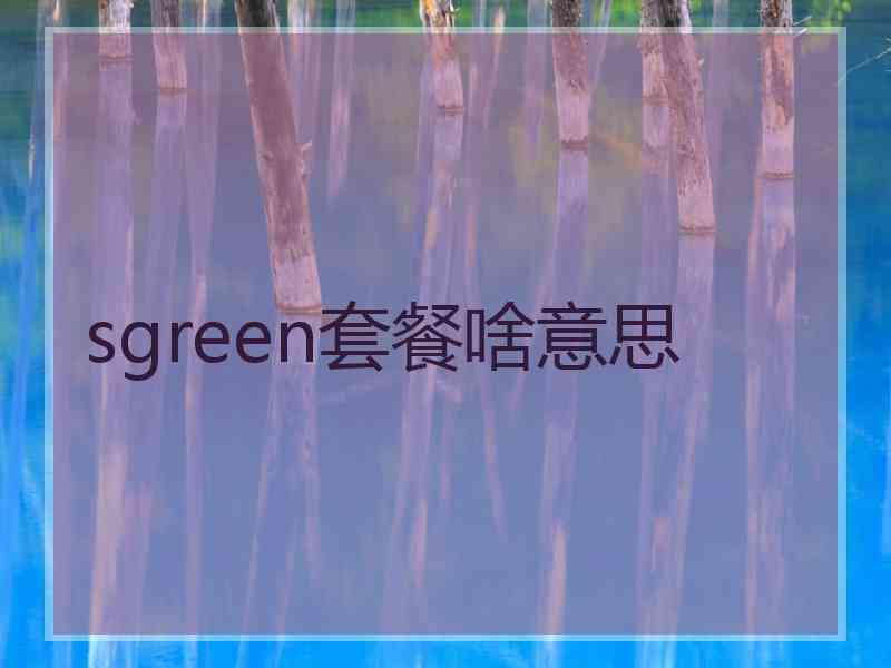 sgreen套餐啥意思