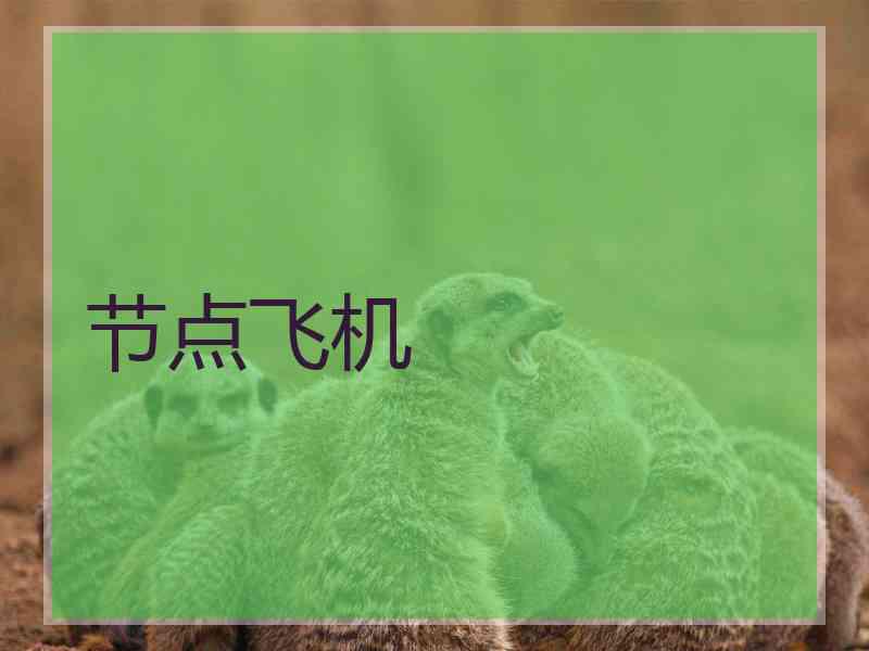 节点飞机
