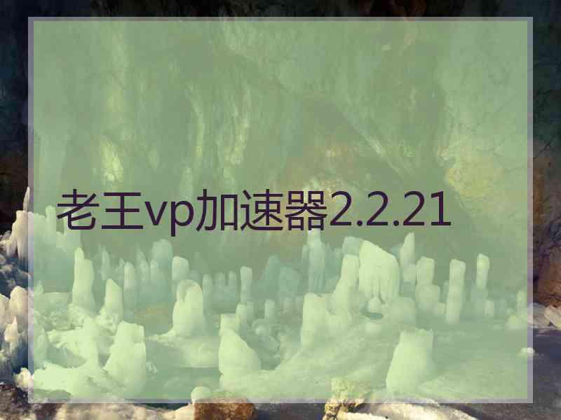 老王vp加速器2.2.21