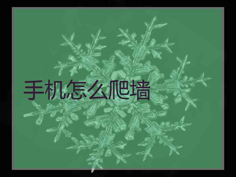手机怎么爬墙