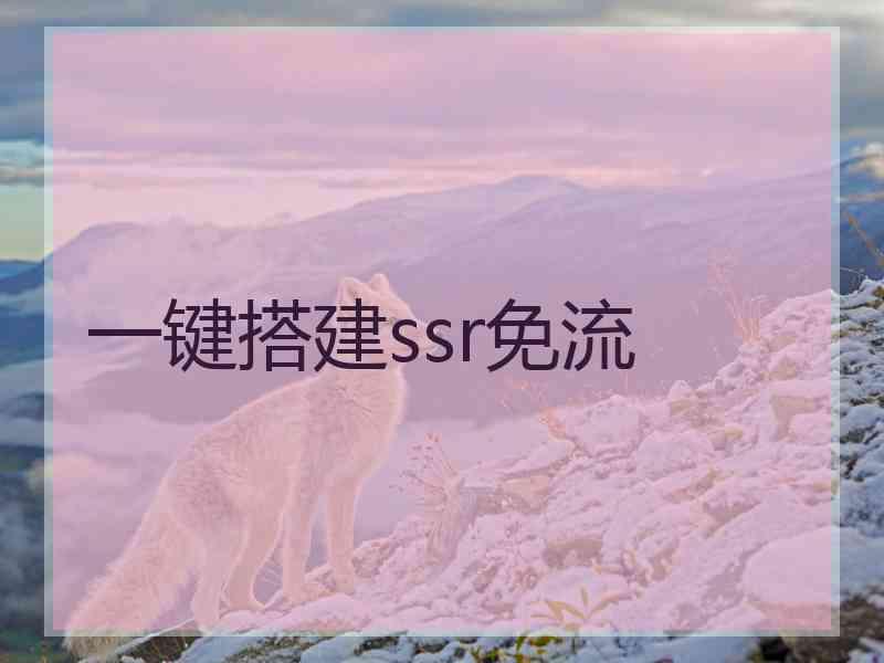 一键搭建ssr免流
