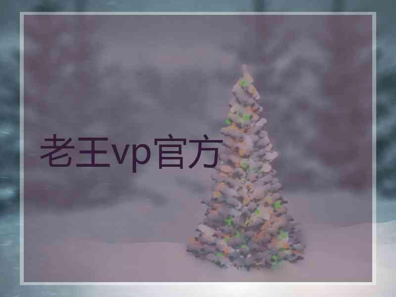 老王vp官方