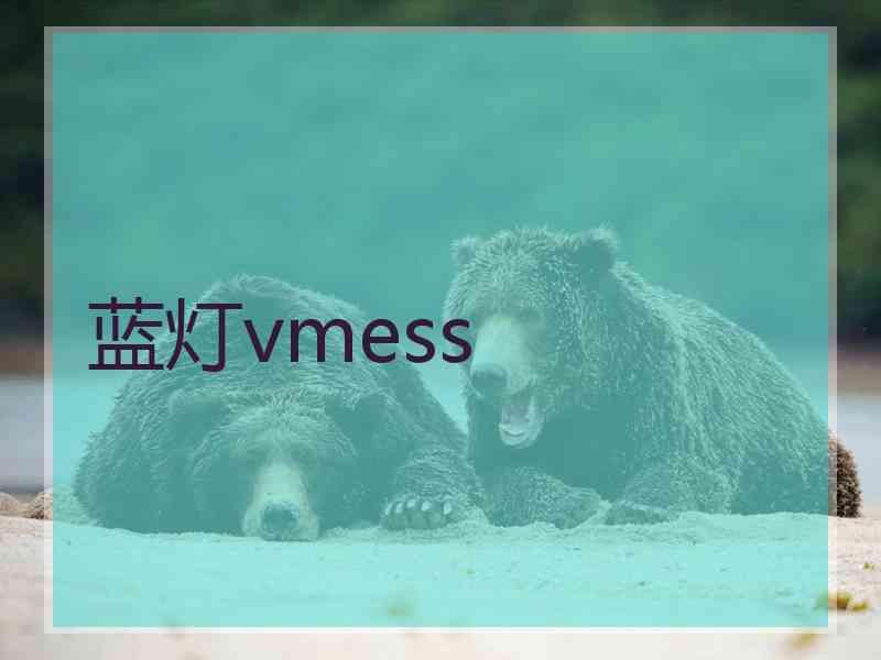 蓝灯vmess
