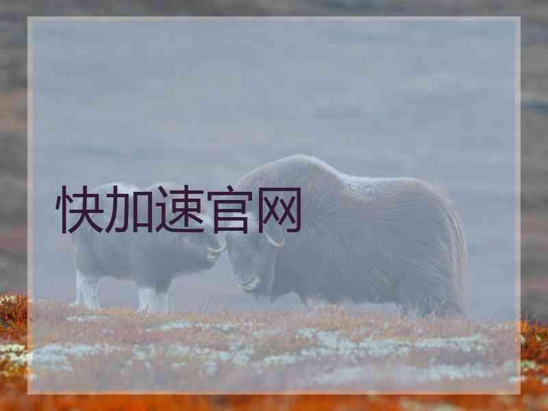 快加速官网
