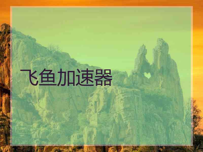 飞鱼加速器