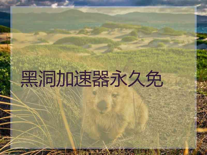 黑洞加速器永久免