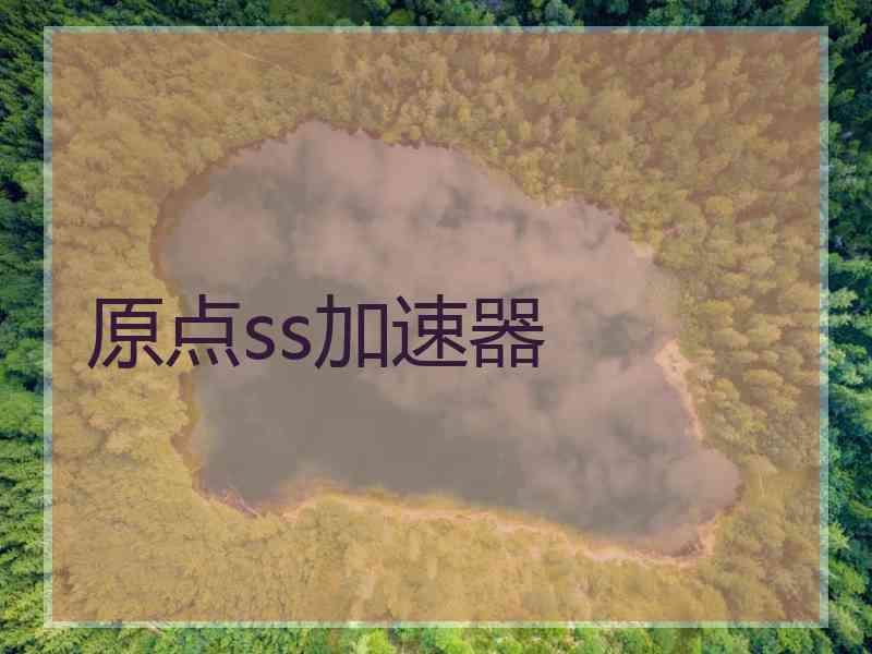 原点ss加速器