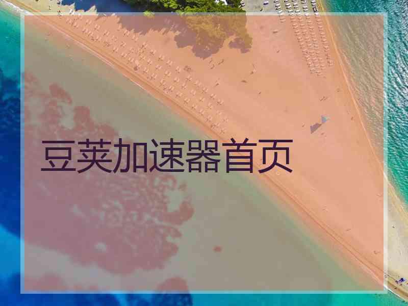 豆荚加速器首页