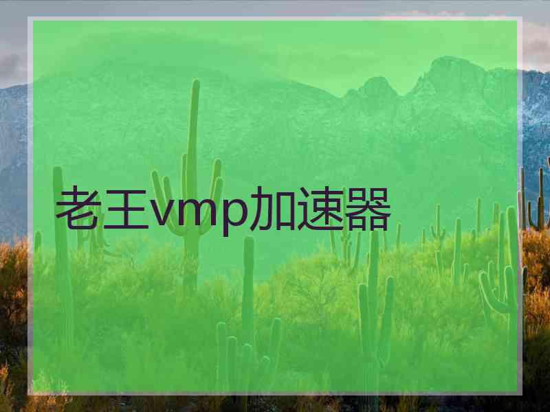 老王vmp加速器