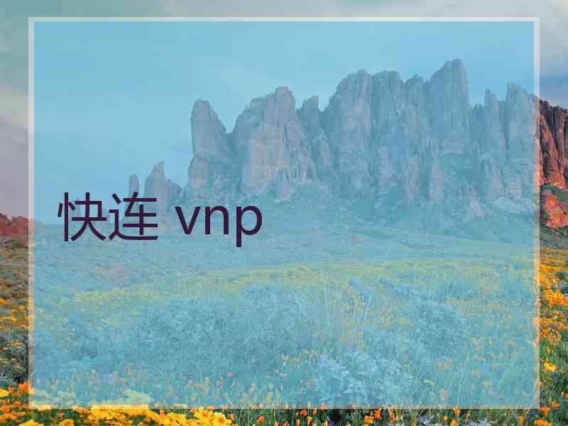 快连 vnp