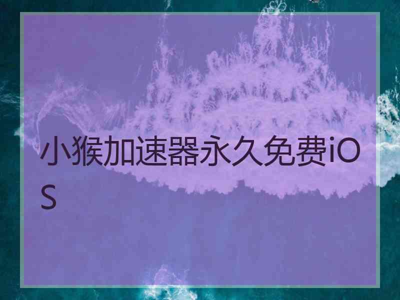 小猴加速器永久免费iOS